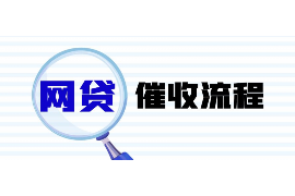 平远如何避免债务纠纷？专业追讨公司教您应对之策